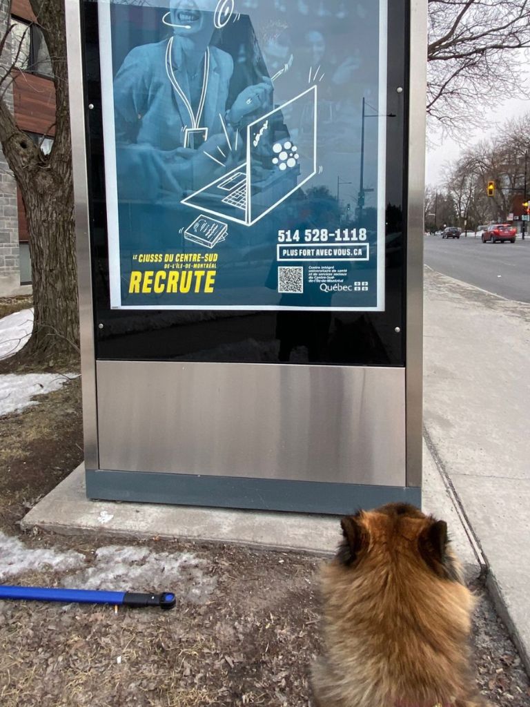 Giselle admire la nouvelle campagne. Photo : Desneiges Paquin
