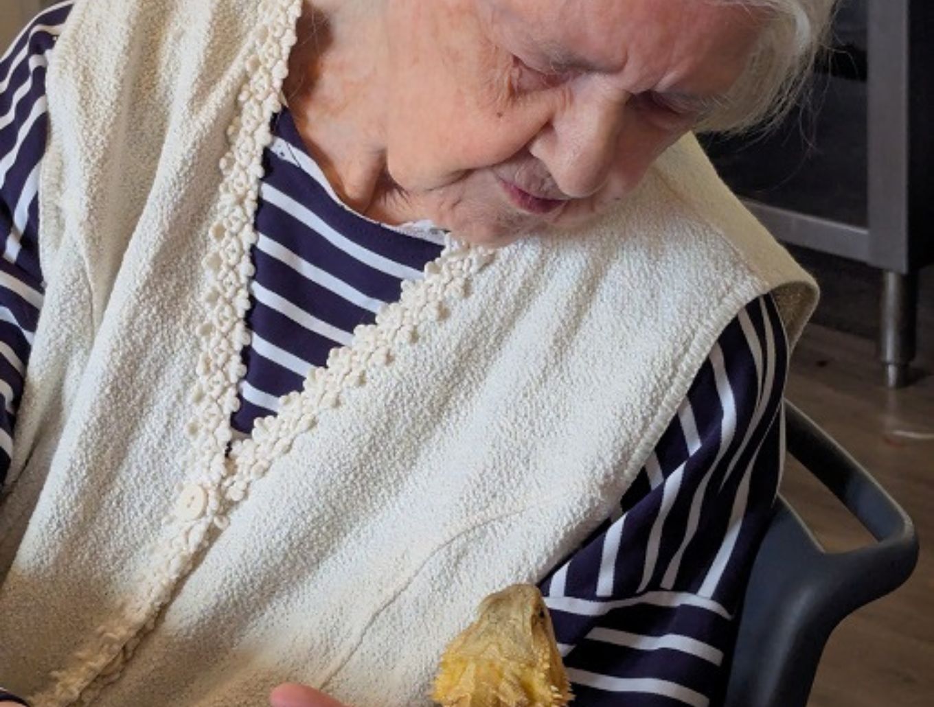 20250328_Zoothérapie(14)