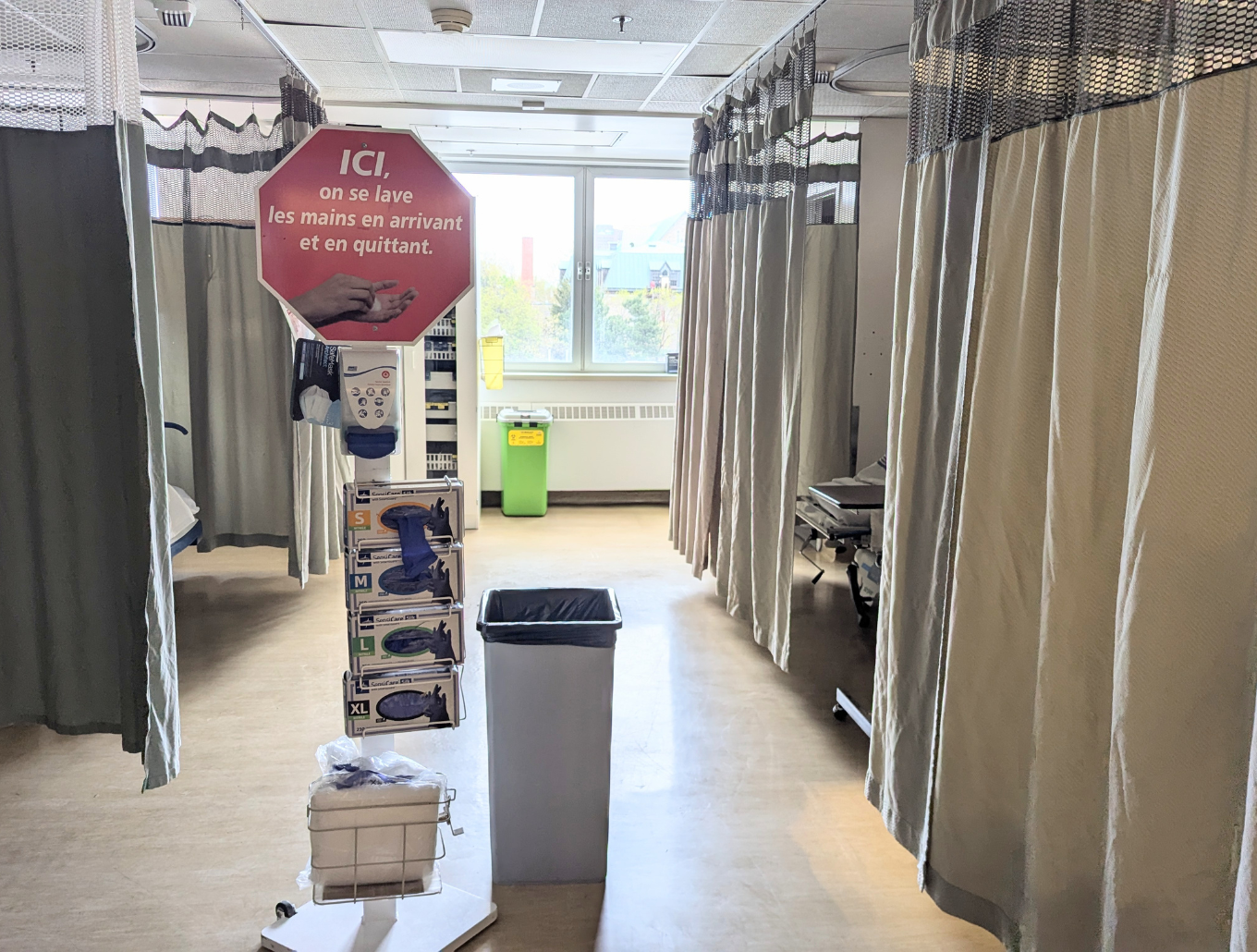 20250512_AbsenceEclosion(2)