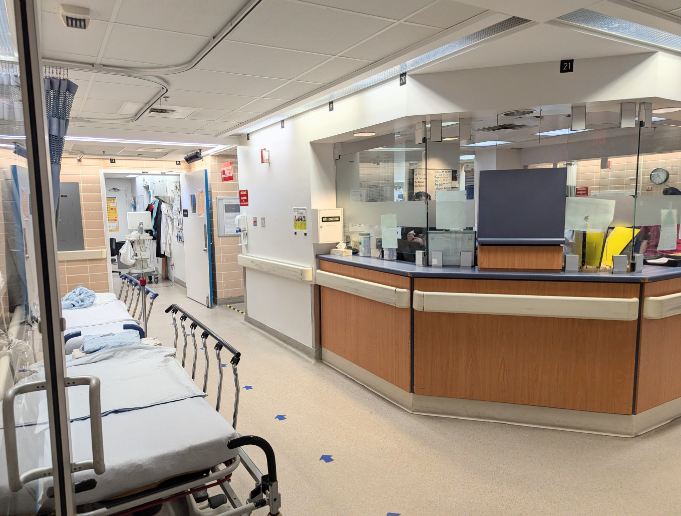 20250512_AbsenceEclosion(3)