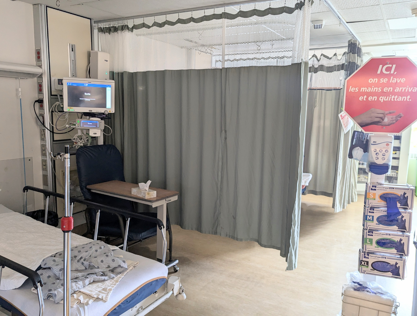 20250512_AbsenceEclosion(5)